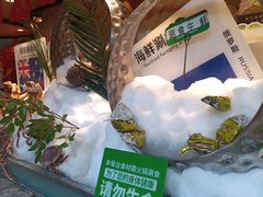 -亚马逊蒸汽活海鲜自助(LCM置汇旭辉广场店)