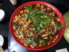 -y牌太安鱼
