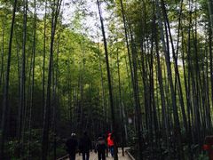 -天目湖御水温泉·度假酒店