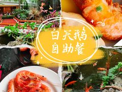 -白天鹅宾馆·流浮阁咖啡厅