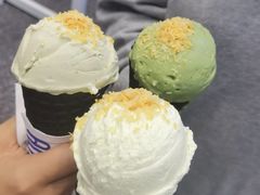 -蔻蔻椰·鲜萃椰子水(COCO Park店)