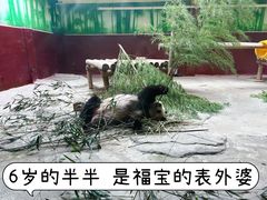 -杭州野生动物世界