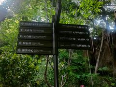 -乌山风景区