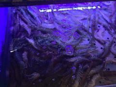 -福禧荟·海鲜自助
