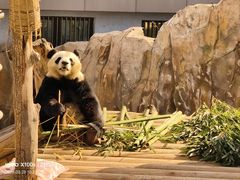 -青藏高原野生动物园