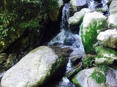 -藏龙百瀑风景区