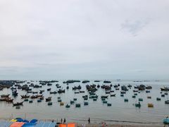 -美奈渔村