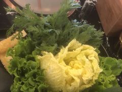 -汤连得温泉馆(宝山店)