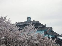 -武汉大学-樱园