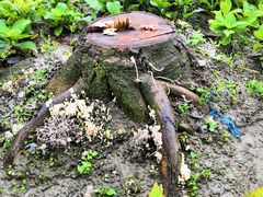 -洪湖家庭农场·团建·露营·会议