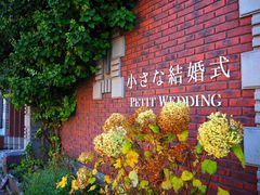 -成都濑川外国语学校