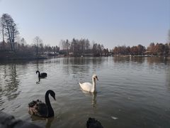 -宁波杭州湾国家湿地公园