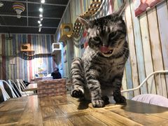 -小时光咖啡馆(开森度假森林店)