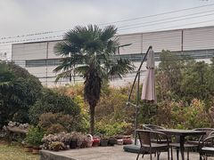 -盐坦烤全羊·特色小吃(城南店)