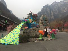 -云台山风景名胜区