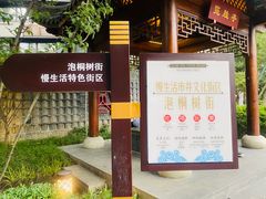 -泡桐树街