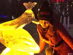 -沈阳奥体冰雪嘉年华