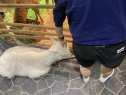 -Zoolung Zoolung动物主题公园(海信广场店)