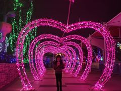 -大信·云顶星河游乐王国