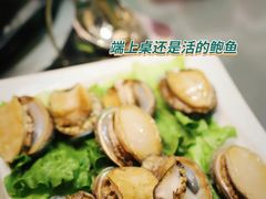 -金龙·打边炉(南京西路店)