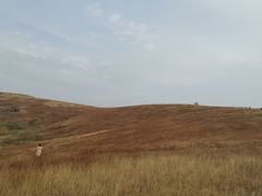 -恋山坝上草原