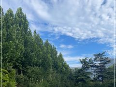 -紫金宾馆1910紫色勋章