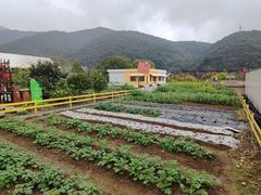 -宁波九龙湖开元度假村