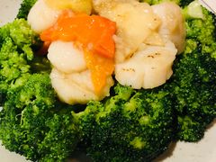 -裕.鹅庄