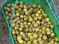 -东天目山风景区