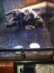 -酷嗒动物文化乐园(cutezoo西溪乐天城店)