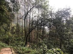 -青城山