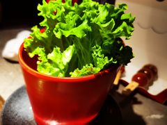 -谷牛日式烤肉(宝山U天地店)