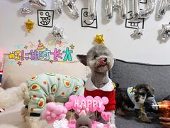 -百好乐宠物友好餐厅(朝外大街店)