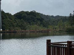 -海南热带雨林国家公园吊罗山景区