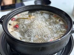 -蘑统田下·野生菌火锅