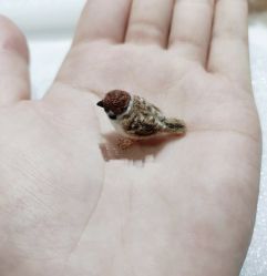 -Oasis Beauty水磨坊科技美肤中心