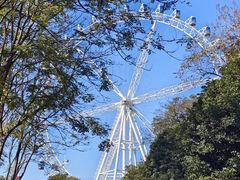 -宜兴龙背山森林公园