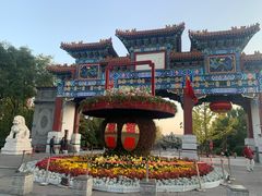 -迎泽公园