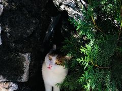 -北京凤凰岭