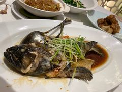 -唐宫海鲜舫