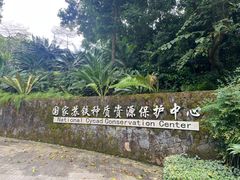-深圳仙湖植物园