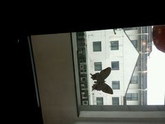 -雅戈尔富宫大酒店(观前街店)