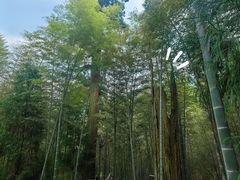 -仙霞关景区
