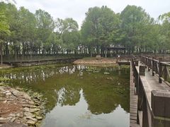 -尚贤河湿地
