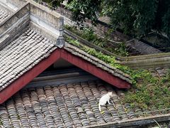 -五凤溪古镇