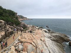 -广东惠东海龟国家级自然保护区