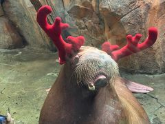 -波塞冬旅游度假区