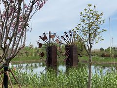 -泗洪洪泽湖湿地景区