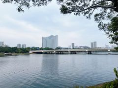 -南宁南湖公园
