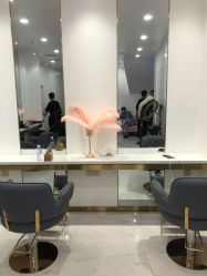 -YESIDO椰岛造型